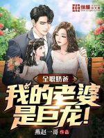 全职奶爸好吗