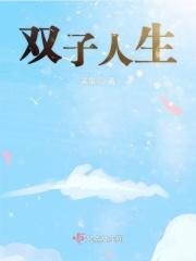 双子人生观总结