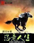 恣意人生hp