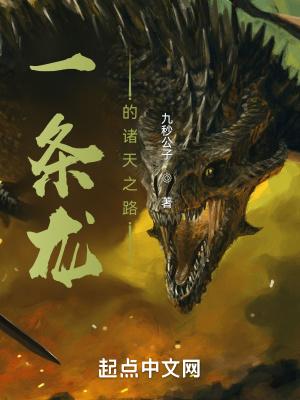 一条龙全集