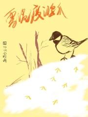 关于雪泥鸿爪的故事