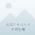 魅惑众生的狐狸精