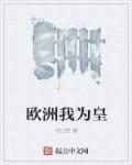 我在欧洲工作