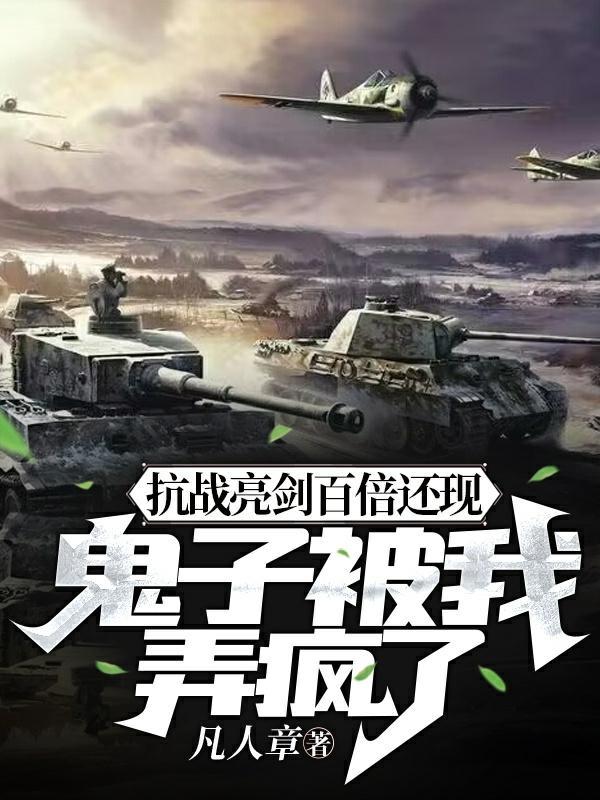 抗日亮剑