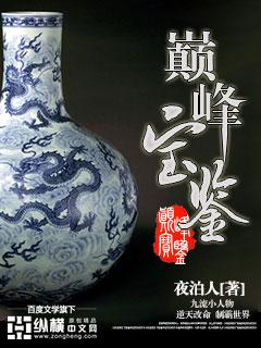 巅峰宝鉴txt
