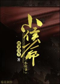 三国小侯爷