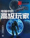 电弧中的高级玩家 全集txt免费