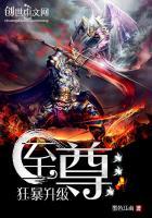 至尊狂神的等级