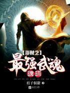 海贼之最强武装