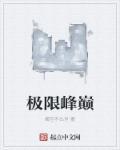 极限巅峰技巧