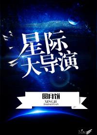 星际穿越 导演