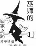 巫师的传奇之旅123