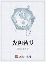 光阴如梦付芳心txt