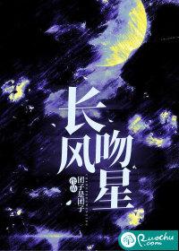 星越l长风版价格
