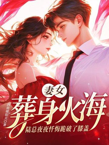 陆总裁追妻火葬场