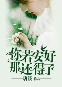 那还得了简介