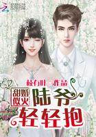 甜婚似火陆爷轻轻抱