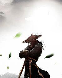 武魂解释