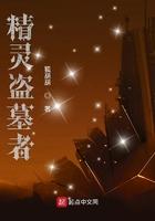 精灵盗墓者免费