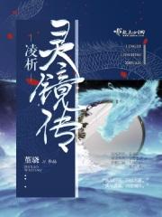 灵镜传奇1