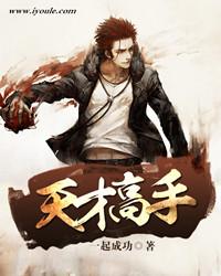 天才高手作者