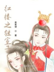 红楼继室填房文