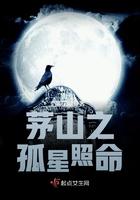 茅山之孤星照命txt