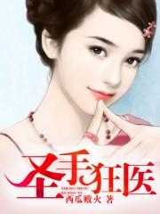 圣手狂医秦浩笔趣阁