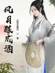 风月斟酒是什么意思
