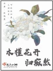 木槿花开了啥意思
